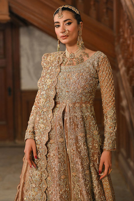 Ansab Jahangir Bridals Collection Wedding Dresses online